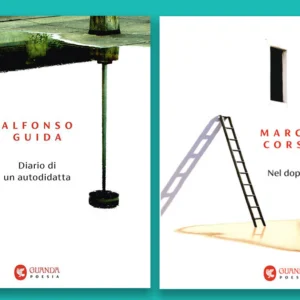 Alfonso Guida e Marco Corsi: l’estremo autodidatta e la gentilissima sparizione